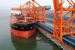 Conveyor idler for port