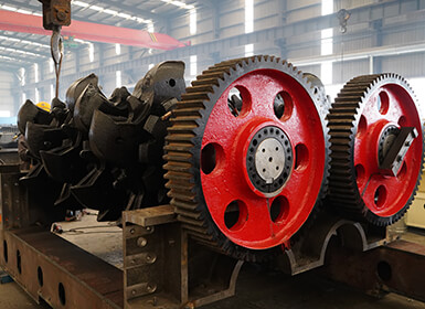mineral-sizer-synchromesh-gear